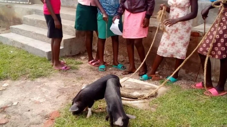 Income generating projects